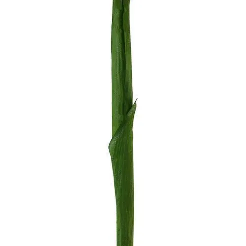 28" Yellow and Green Artificial Ginger Flower Decorative Floral Crafting Stem