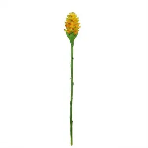 28" Yellow and Green Artificial Ginger Flower Decorative Floral Crafting Stem