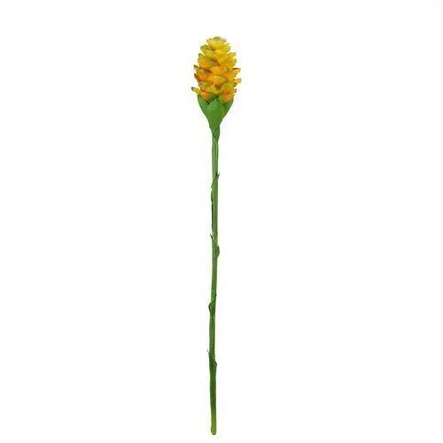 28" Yellow and Green Artificial Ginger Flower Decorative Floral Crafting Stem