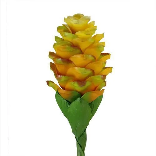 28" Yellow and Green Artificial Ginger Flower Decorative Floral Crafting Stem