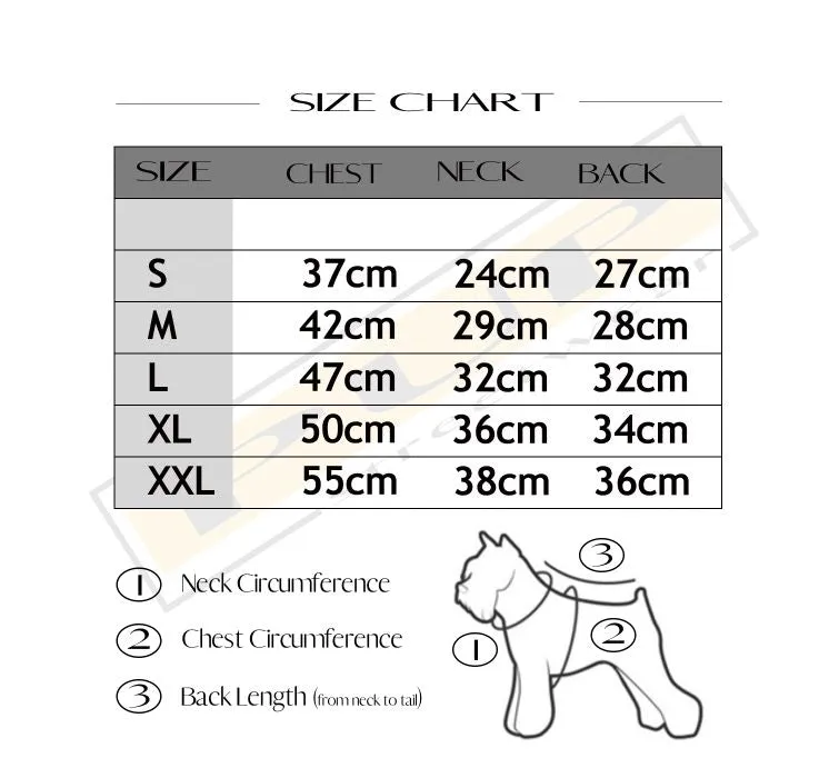 Chewnel No 5 Sweater