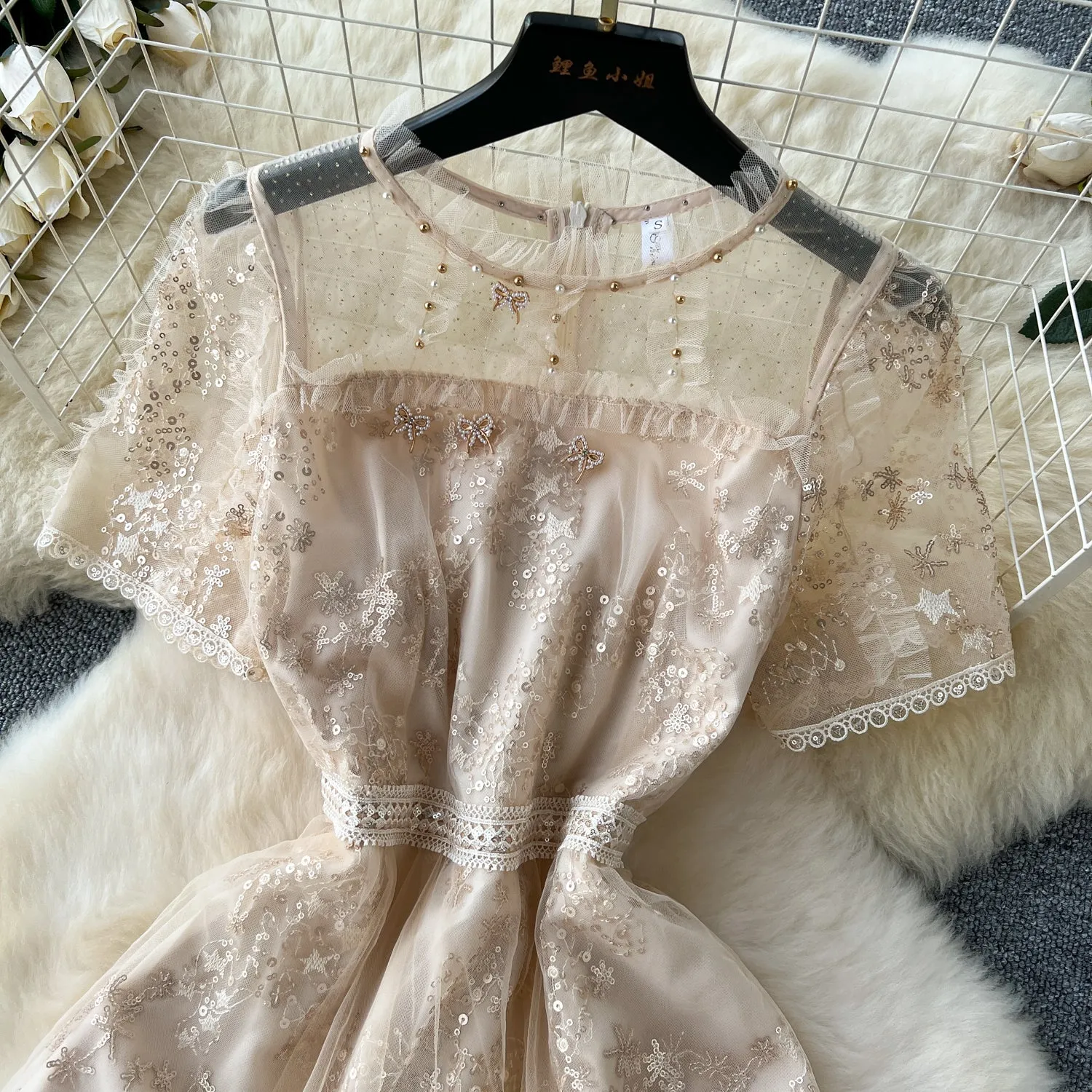 Delicate Beaded Embroidered Mesh Dress