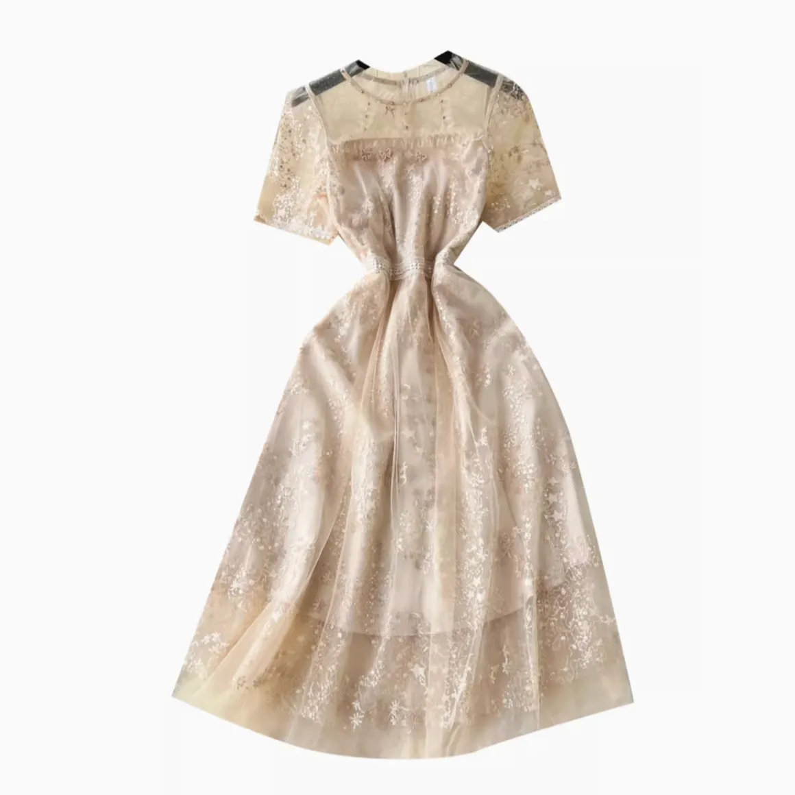 Delicate Beaded Embroidered Mesh Dress