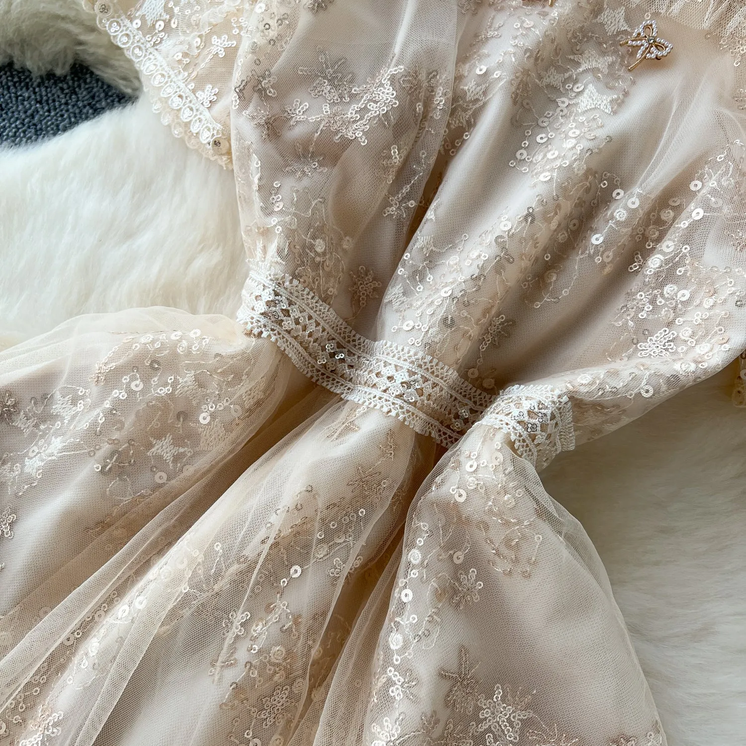 Delicate Beaded Embroidered Mesh Dress