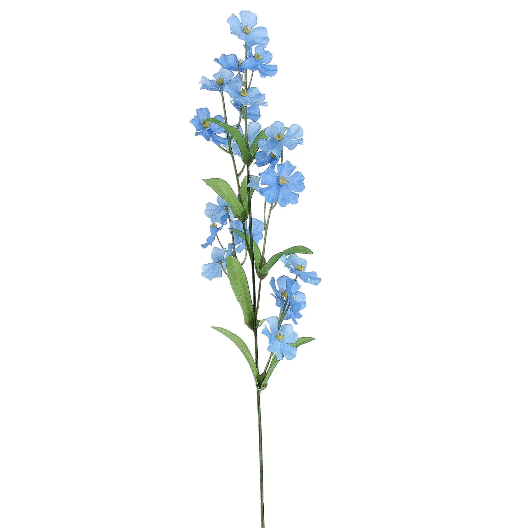 Forget me not spray