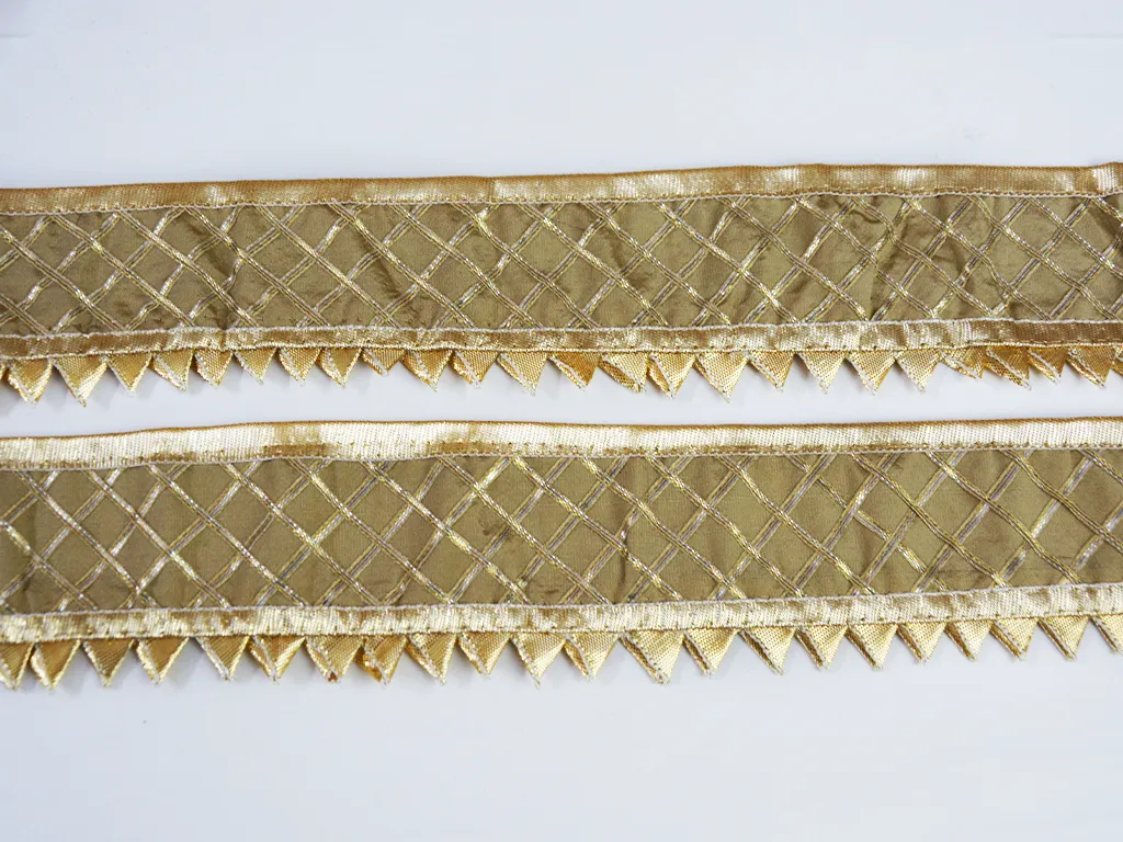 Ivory White Fancy Criss Cross Gota Work Embroidered Border
