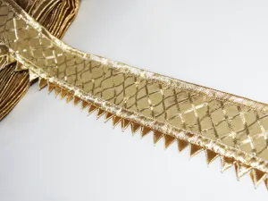 Ivory White Fancy Criss Cross Gota Work Embroidered Border
