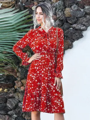 Women Clothing New Bow Long Sleeve Dress for Spring Summer Fashion Print Lacy Long Skirt Casual Resort Womenswear Womens Dresses